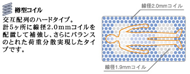 �M�^�R�C��