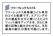 �t���[�t���b�N�X�R�C��