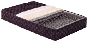 �T�[�^�|�X�`���[ �p�[�t�F�N�g�i�C�g�^�m�[�}��