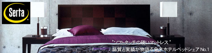 サータ パーフェクトナイト セミダブルサイズ 両面立体ピローソフト(2